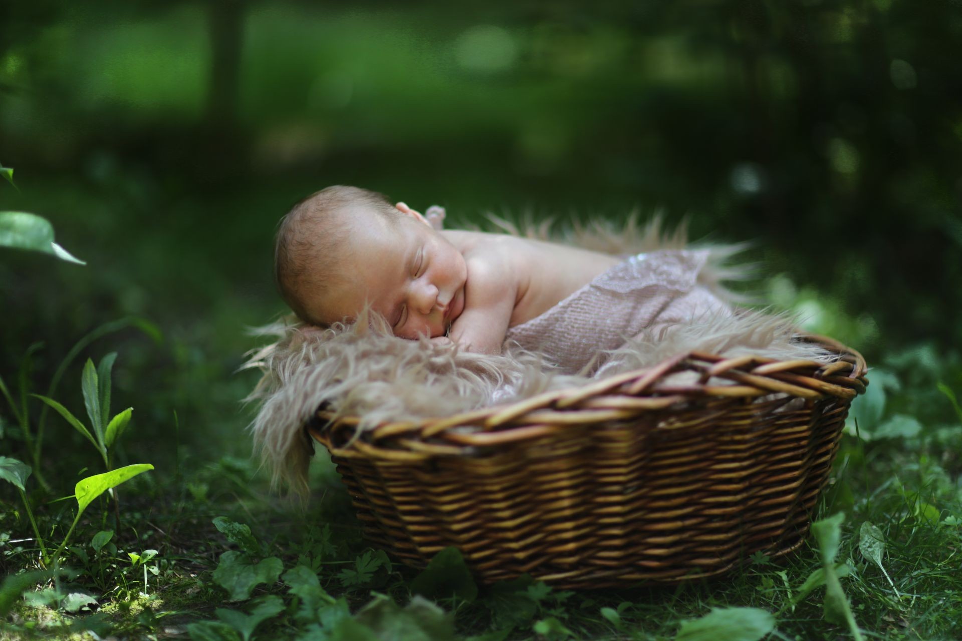 Newborn baby in the basket among the leaves, newborn photography